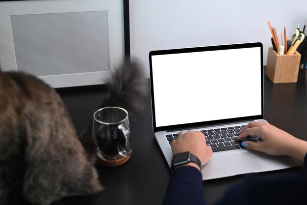 Vista de cerca de una mujer que usa una computadora portátil mientras está sentada cerca de su gato en la oficina de su casa