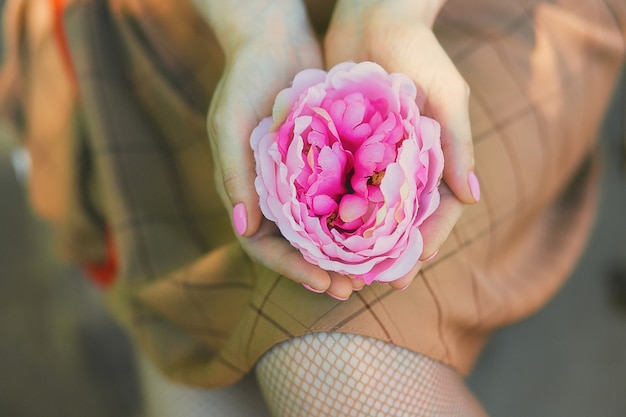 Vista de cerca de mujer sosteniendo hermosa flor rosa en las manos.