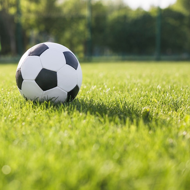 Foto vista de cerca de pelota en césped