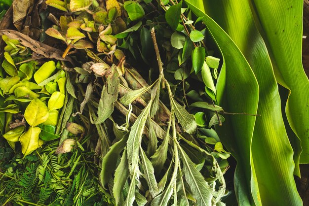 Vista de cerca de verduras frescas y saludables picadas en rodajas y en cubitos como albahaca, apio, verduras verdes, cebolla roja, jengibre y ajo para la preparación de alimentos