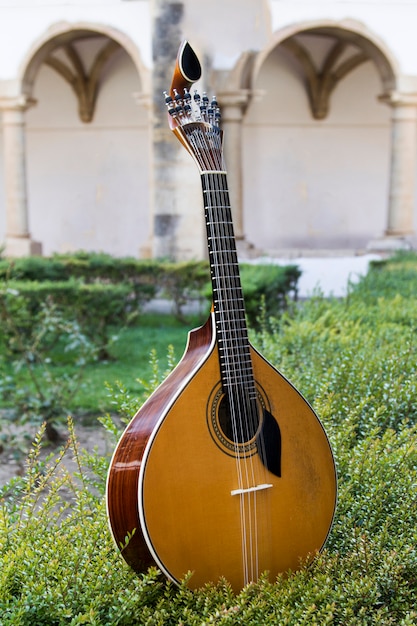 Vista cercana de una guitarra portuguesa tradicional encima de un jardín dispuesto.