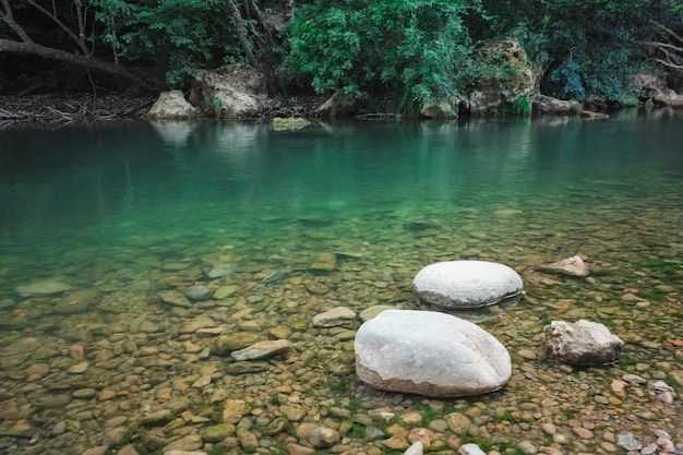 Foto vista cercana de un río con agua clara