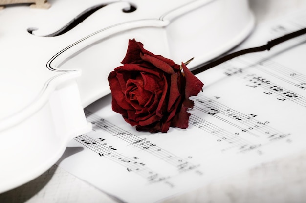 Vista cercana de una rosa seca de violín blanco y notas musicales sobre una mesa de madera