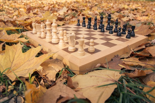Vista cercana del tablero de ajedrez de madera y piezas sobre un terreno cubierto de hierba cubierta con hojas amarillas secas.
