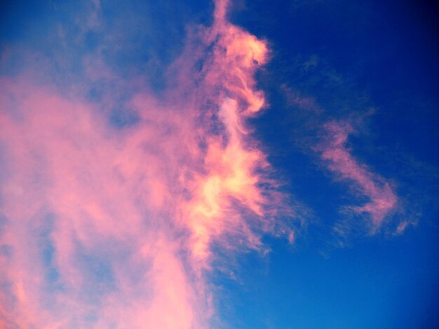 Foto vista del cielo en bajo ángulo