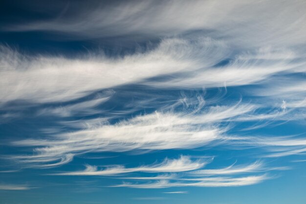 Vista del cielo en bajo ángulo