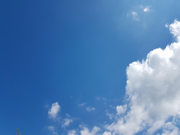 Foto vista del cielo en bajo ángulo