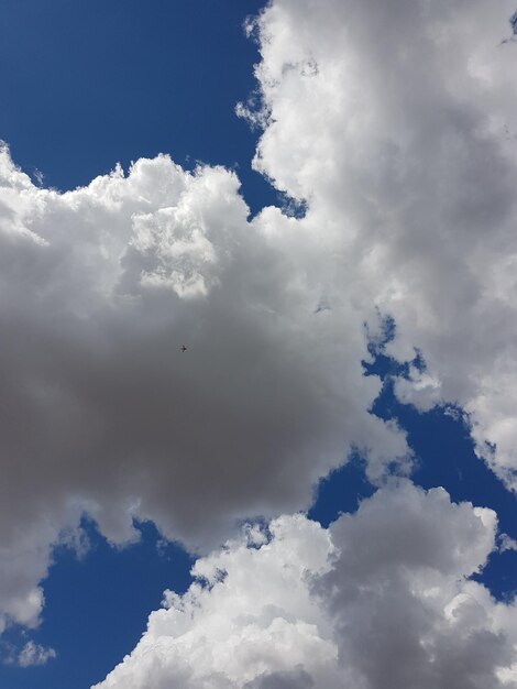 Foto vista del cielo en bajo ángulo