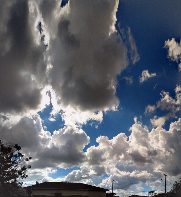 Vista del cielo en bajo ángulo