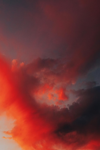 Vista del cielo desde un ángulo bajo