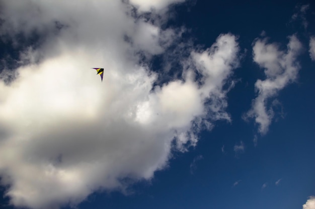 Vista del cielo en bajo ángulo