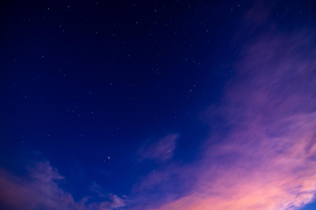 Vista del cielo nocturno desde un ángulo bajo