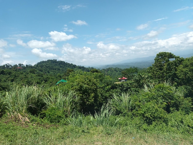 Vista del cielo en la pista de la colina de día