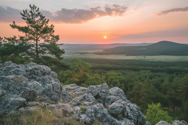 vista desde la cima de un bosque de colina que va al valle del horizonte