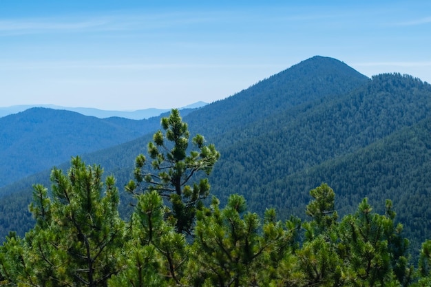 la vista desde la cima de la montaña