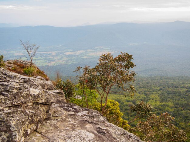 Vista desde la cima del parque nacional de Phu Kradueng en Tailandia