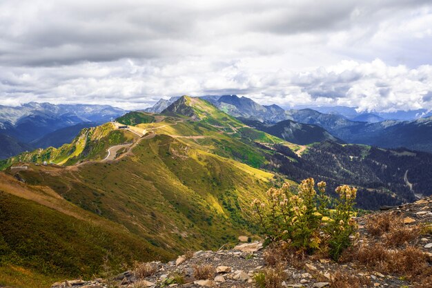 Vista desde la cima del valle de la montaña, flores y pasto en primer plano