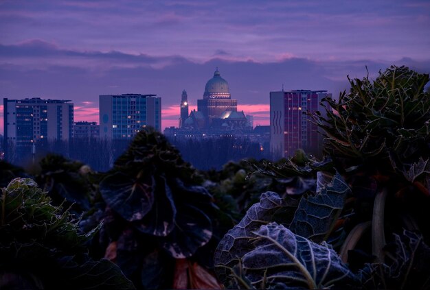 Vista de la ciudad al amanecer