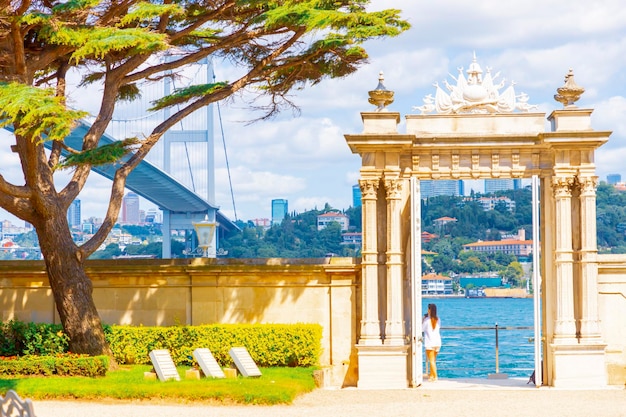 una vista de la ciudad con un árbol y una valla y un cuerpo de agua