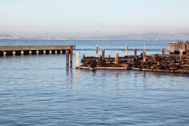 Vista de la ciudad desde el muelle de pasarela de madera