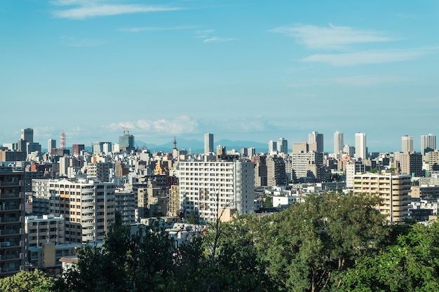 Vista de la ciudad de Sapporo desde el Monte Moiwa, Hokkaido, Japón.