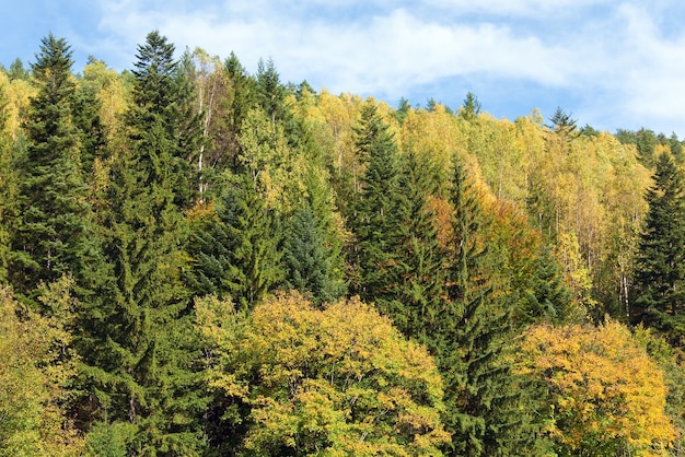 Vista de la colina cubierta de bosques de montaña otoñal (Ucrania, monte de los Cárpatos)