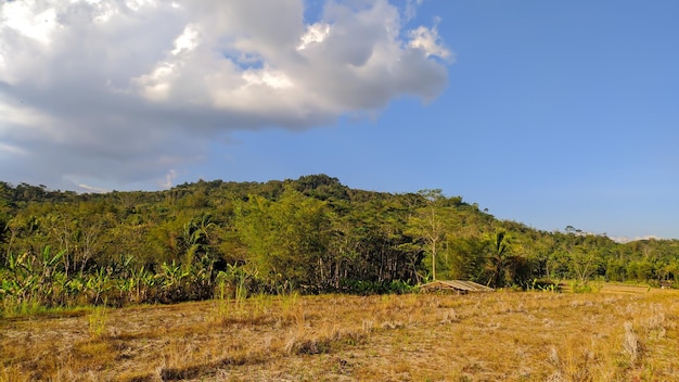 vista de la colina en Indonesia