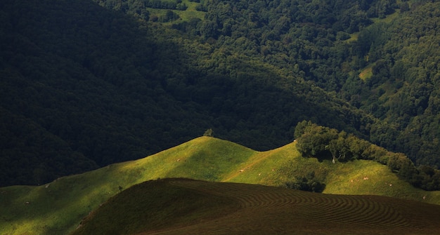 Vista de las colinas al atardecer en las estribaciones del Cáucaso Norte en Rusia