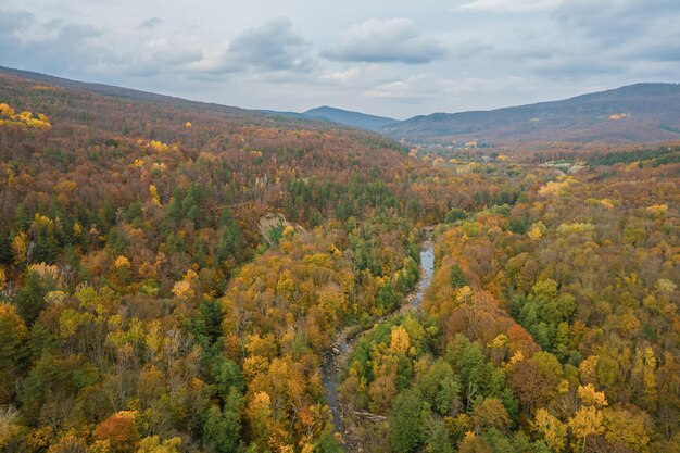 Vista colorida do outono das montanhas do cáucaso excelente vista das árvores amarelas