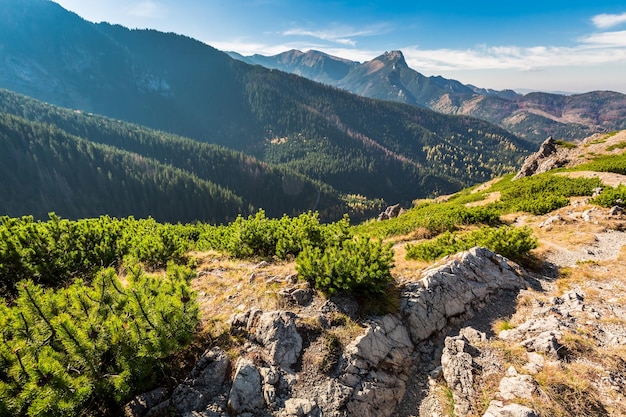 Vista colorida en las montañas Tatra desde la cresta en otoño