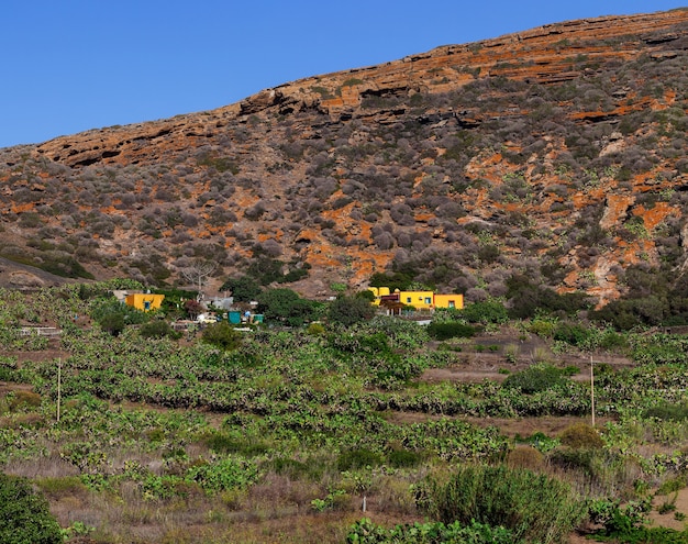 Vista de coloridas casas típicas de Linosa en el campo, Sicilia