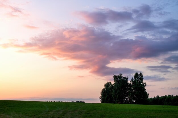 Vista de un colorido y brillante atardecer de verano con hermosas nubes y rayos de sol con un gran campo de hierba en primer plano y árboles en el horizonte