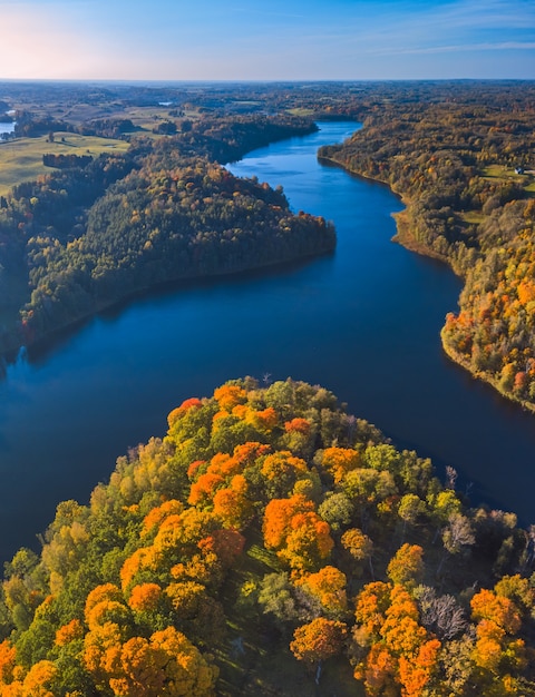 Vista de coloridos árboles en Dubingiai durante el otoño