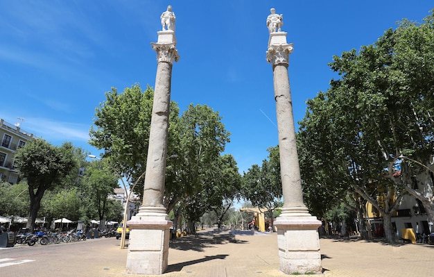 Una vista de las columnas de la Alameda de Hércules en Sevilla España