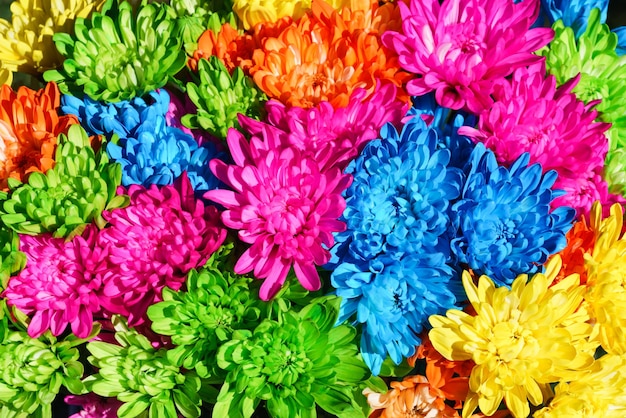 Foto vista completa de um buquê de flores coloridas