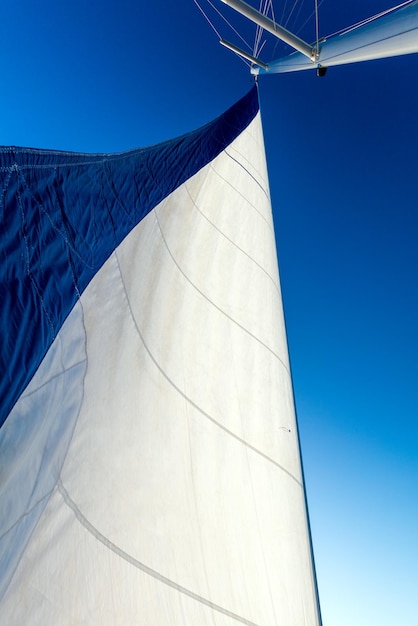 Vista conceptual del catamarán de yates de vela navegando en el mar