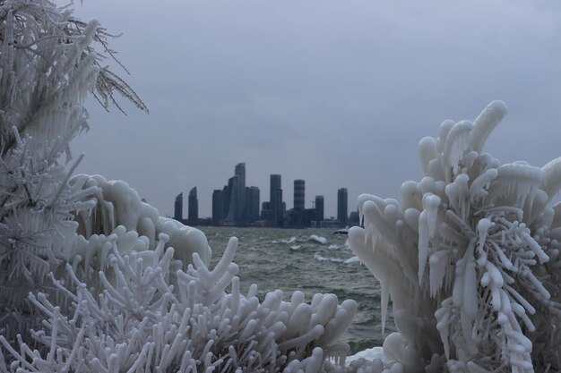 Foto vista congelada de la ciudad de mississauga