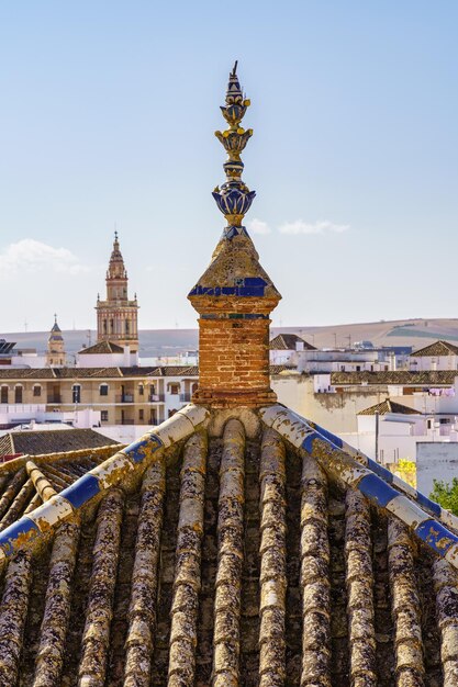 Vista del conjunto monumental de la ciudad sevillana de Écija con sus típicos tejados de origen árabe y espectacular decoración