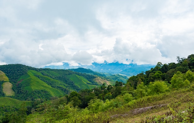 Vista de la cordillera y mar de niebla por la mañana.