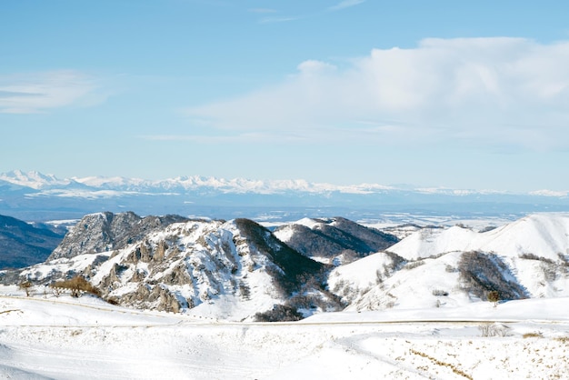 Vista de la cordillera nevada de las montañas del Cáucaso y el bosque de pinos desde el paso