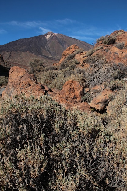 Vista de la cordillera