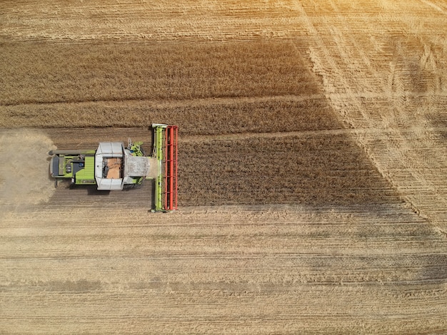 Vista de una cosechadora trabajando en un campo