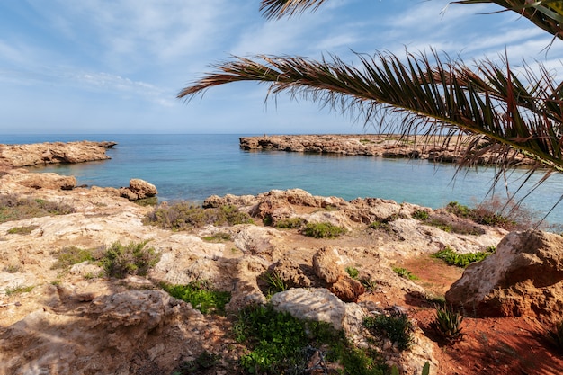 Vista de una costa rocosa en la mañana.