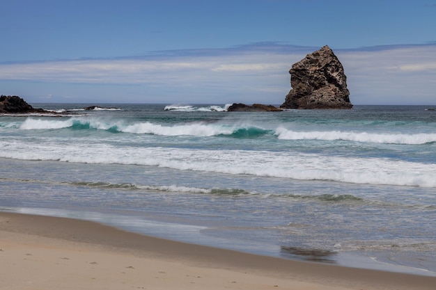 Vista de la costa de Sandfly Bay en la Isla Sur de Nueva Zelanda