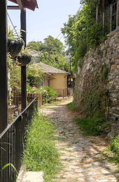 Vista da aldeia de montanhas da prefeitura de tsagarada pelion de magnésia grécia