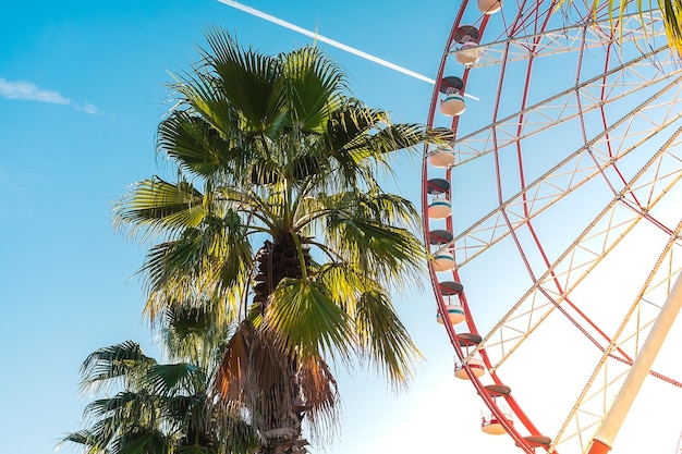 Vista da atração da roda gigante contra um fundo de céu azul entre palmeiras