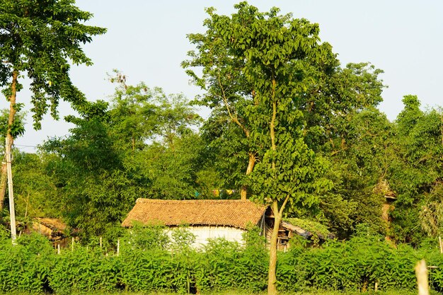 Vista da bela casa de fazenda na vila