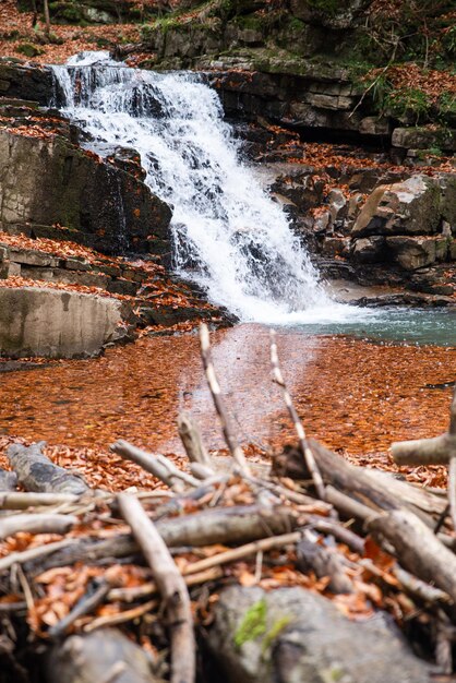 Foto vista da cachoeira na floresta de outono