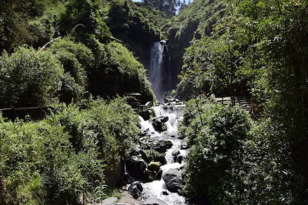 Vista da Cachoeira Peguche nas montanhas É cercada por uma floresta verde cheia de vegetação Equador