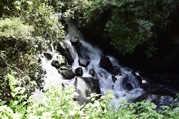 Vista da Cachoeira Peguche nas montanhas É cercada por uma floresta verde cheia de vegetação Equador